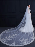 Long White Tulle Veil with Lace Edge Trim